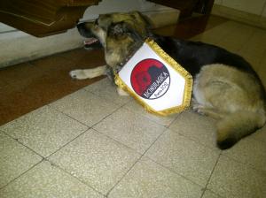 Mascotte Bicinuragica